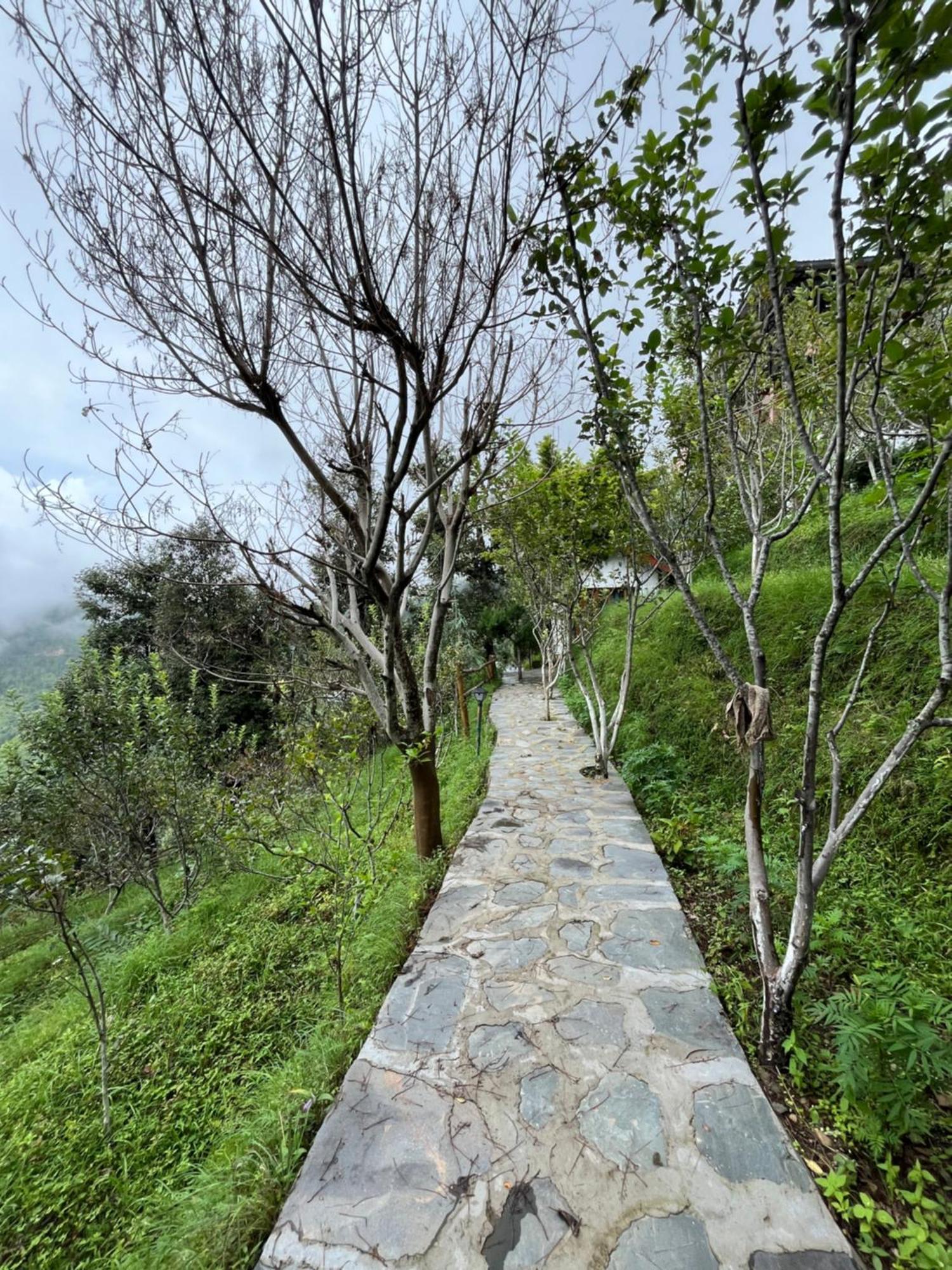 דאנאולטי Apple Garden Cottages And Restaurant מראה חיצוני תמונה